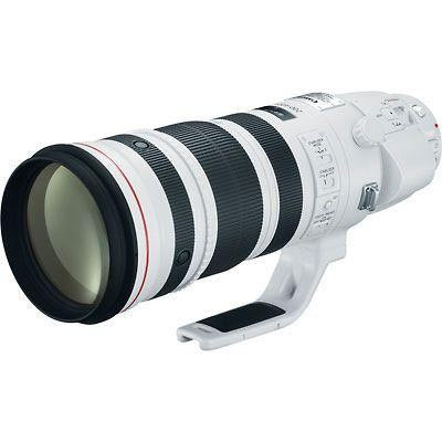 Canon EF 200-400mm f/4.0L IS USM Extender 1.4x Lens