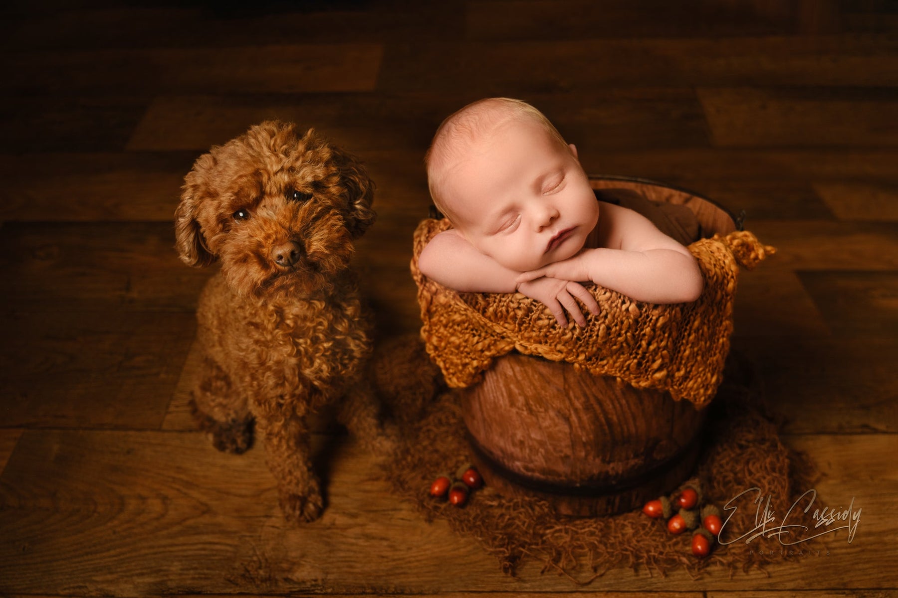 Hobolite - Testing a New Light with New Babies