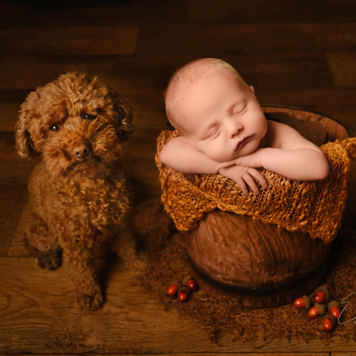 Hobolite - Testing a New Light with New Babies