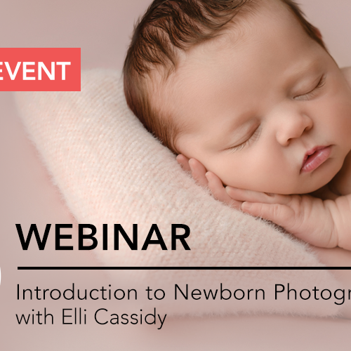 Introduction to Newborn Photography