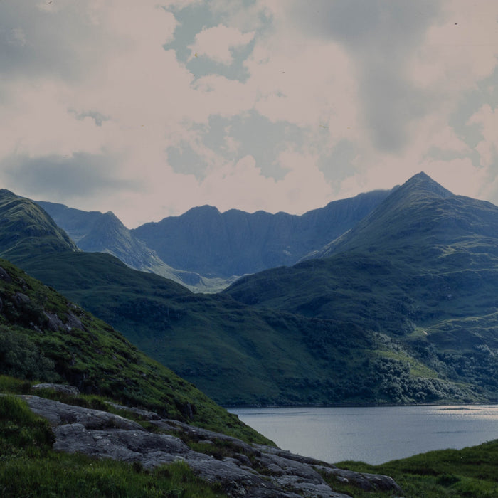 Ditch the Lab? DIY 35mm Film Scanning with Valoi Easy35