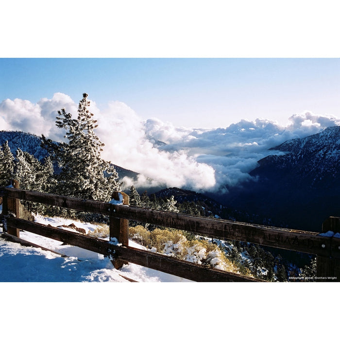 CineStill Xpro C-41 50D Daylight 36-Exposure 35mm Colour Negative 135 Film