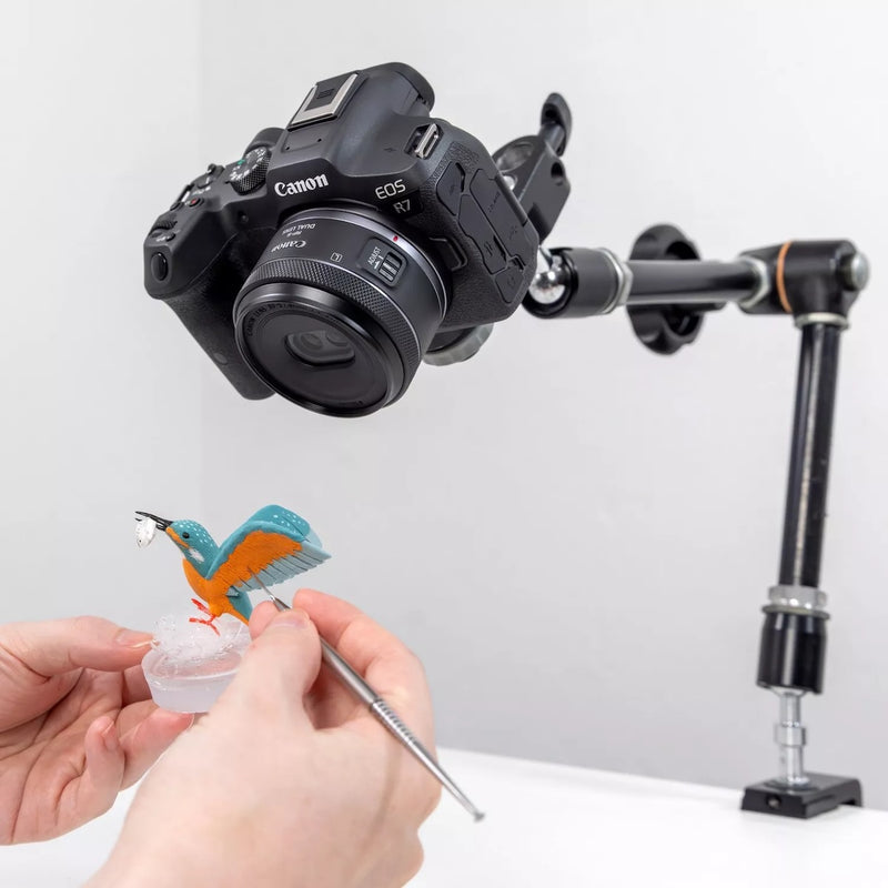 Canon RF-S 7.8mm f/4 STM Dual Lens