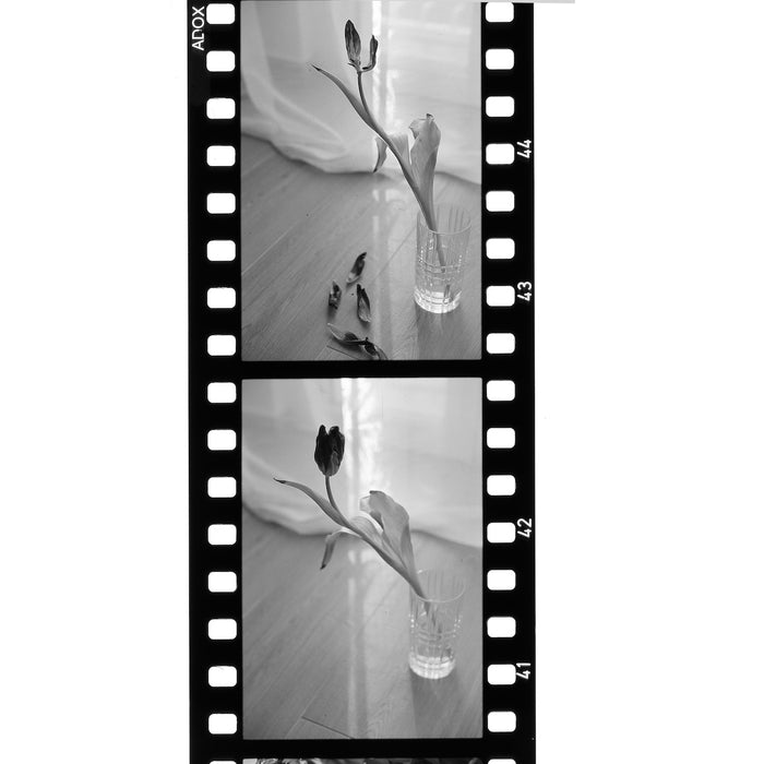 Adox Scala 50 36-Exposure 35mm Black & White 135 Film