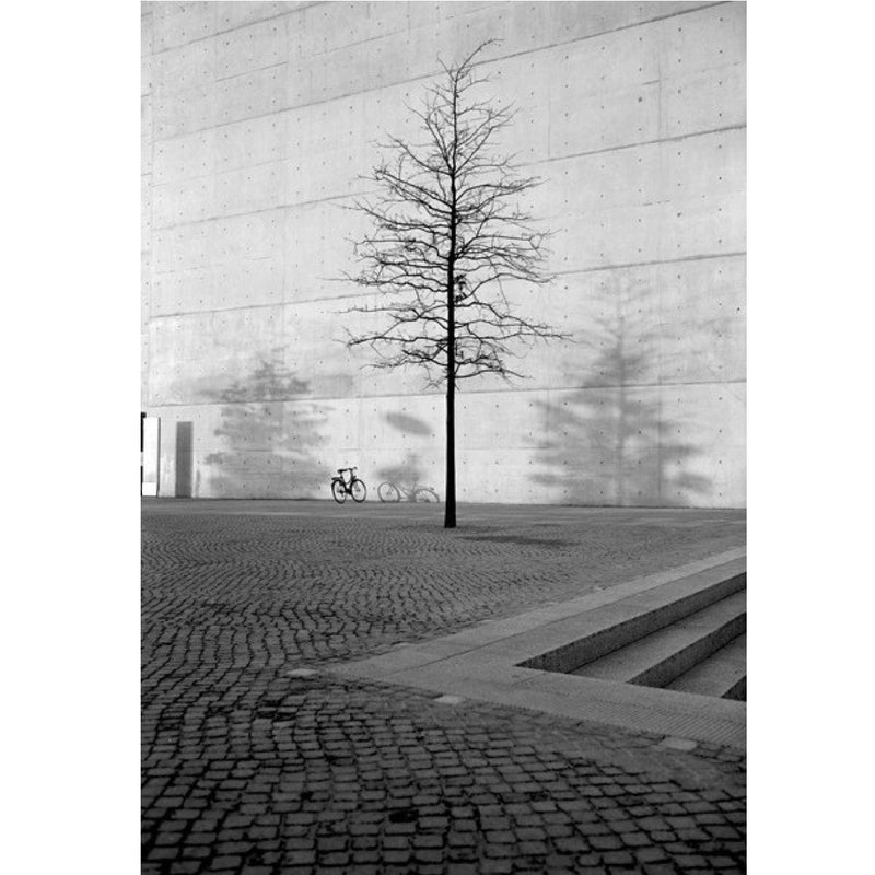 Adox CMS 20 II 36-Exposure 35mm Black & White 135 Film