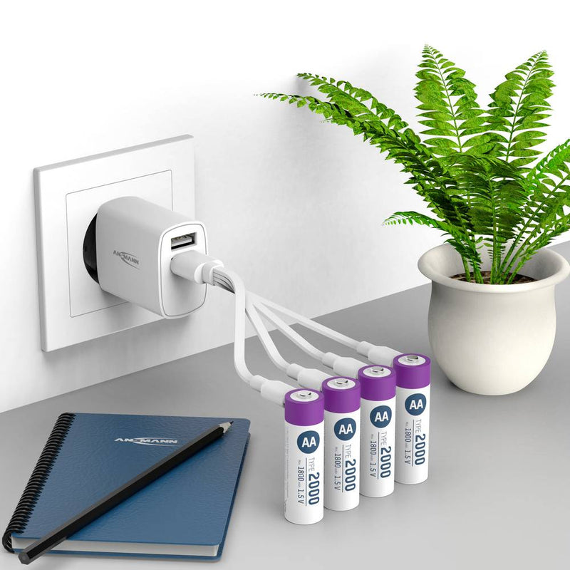 Ansmann AA Li-Ion Rechargeable Battery with USB-C Port, Pack of 4