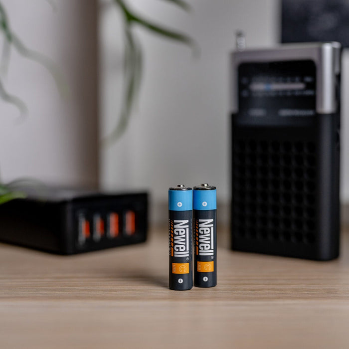 Newell AAA USB-C 500mAh Rechargeable Battery x2