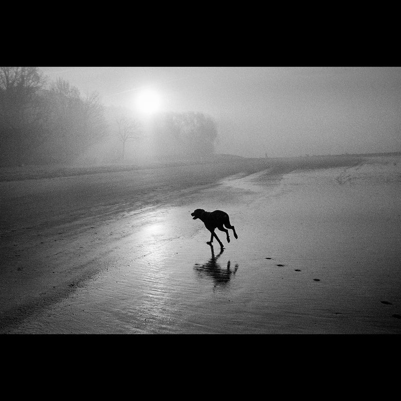 Bergger Pancro 400 36-Exposure 35mm Black & White 135 Film