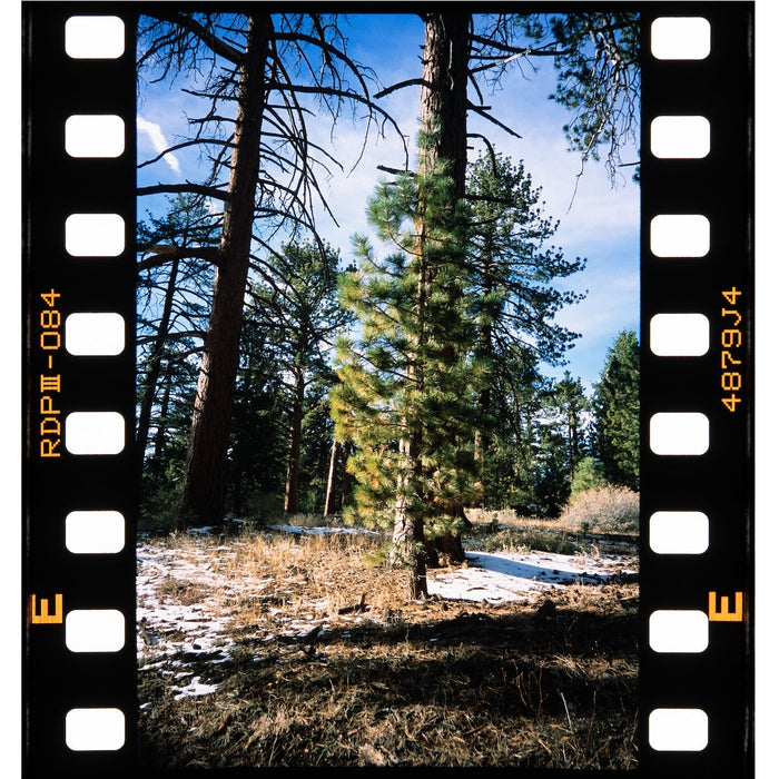 Negative Supply Enthusiast Plus Kit for 35mm & 120 Film & 4 x 5 (with Basic Riser XL)
