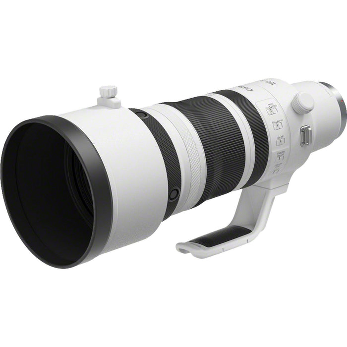 Canon RF 100-300mm f/2.8L IS USM Lens