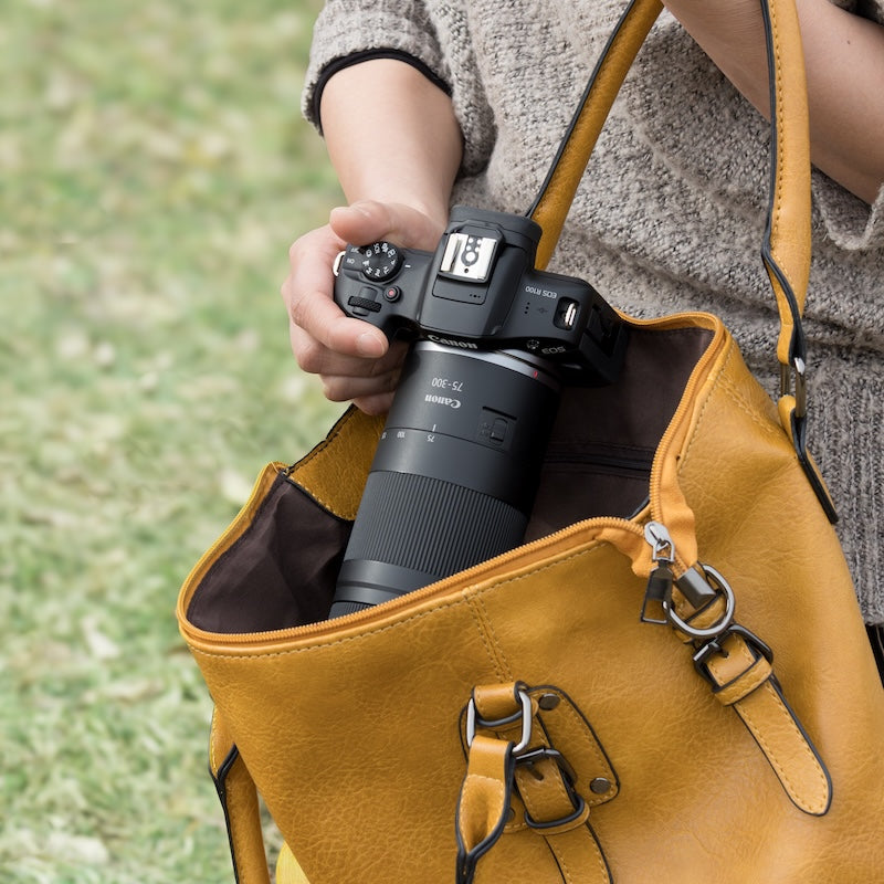 Canon RF 75-300mm f/4-5.6 Lens