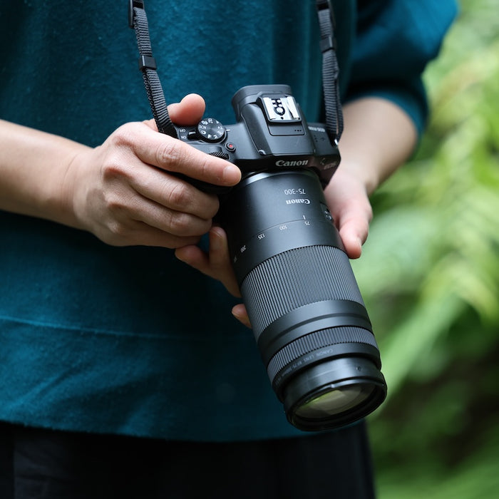 Canon RF 75-300mm f/4-5.6 Lens