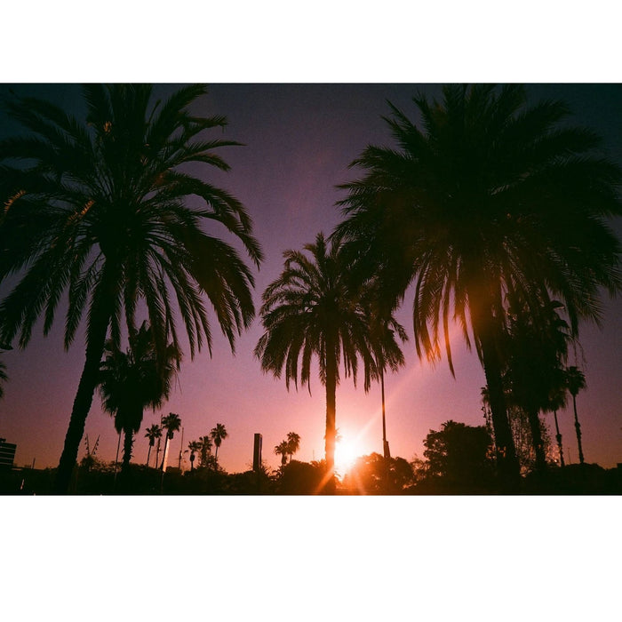 Dubblefilm Bubblegum 200 36-Exposure Colour Negative 135 Film