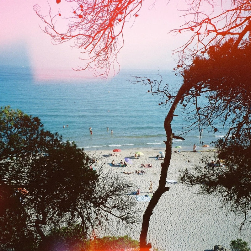 Dubblefilm Solar 200 36-Exposure Colour Negative 135 Film
