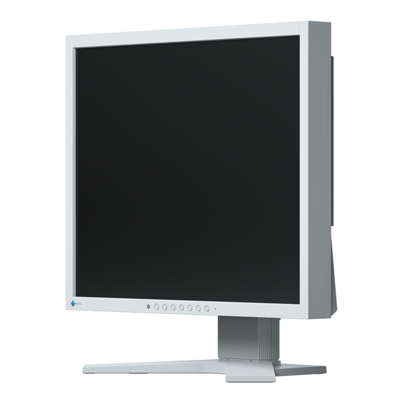 EIZO S1934H 19 Inch FlexScan Monitor Grey