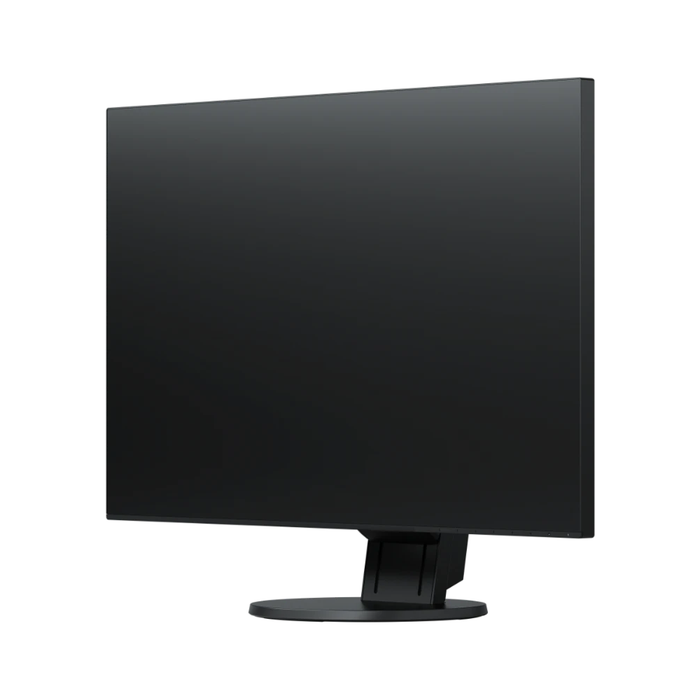 EIZO EV2456 24 inch FlexScan Monitor - Black