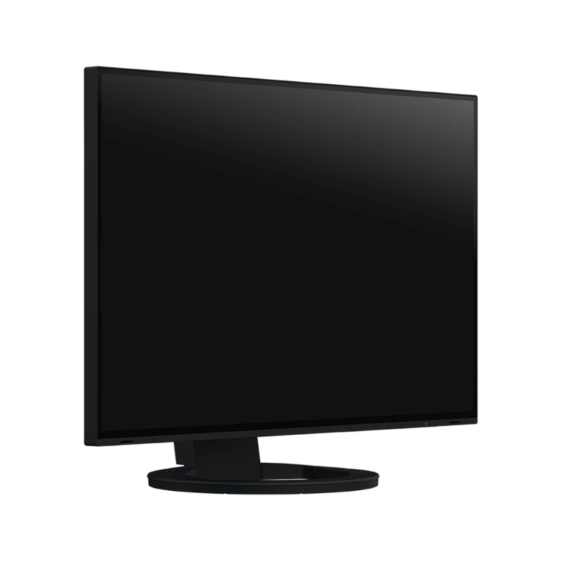 EIZO FlexScan EV2495 24 Inch LED Monitor