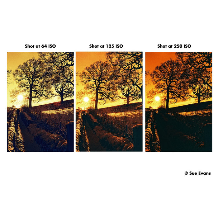 Harman Red 125 36-Exposure 35mm Redscale 135 Film