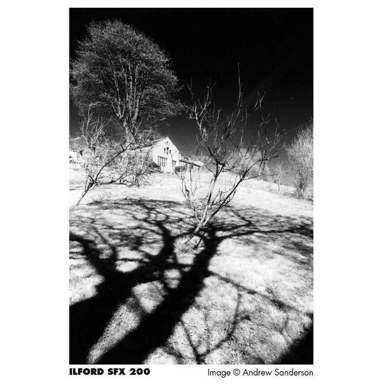 Ilford SFX 200 36-Exposure 35mm Black & White 135 Film
