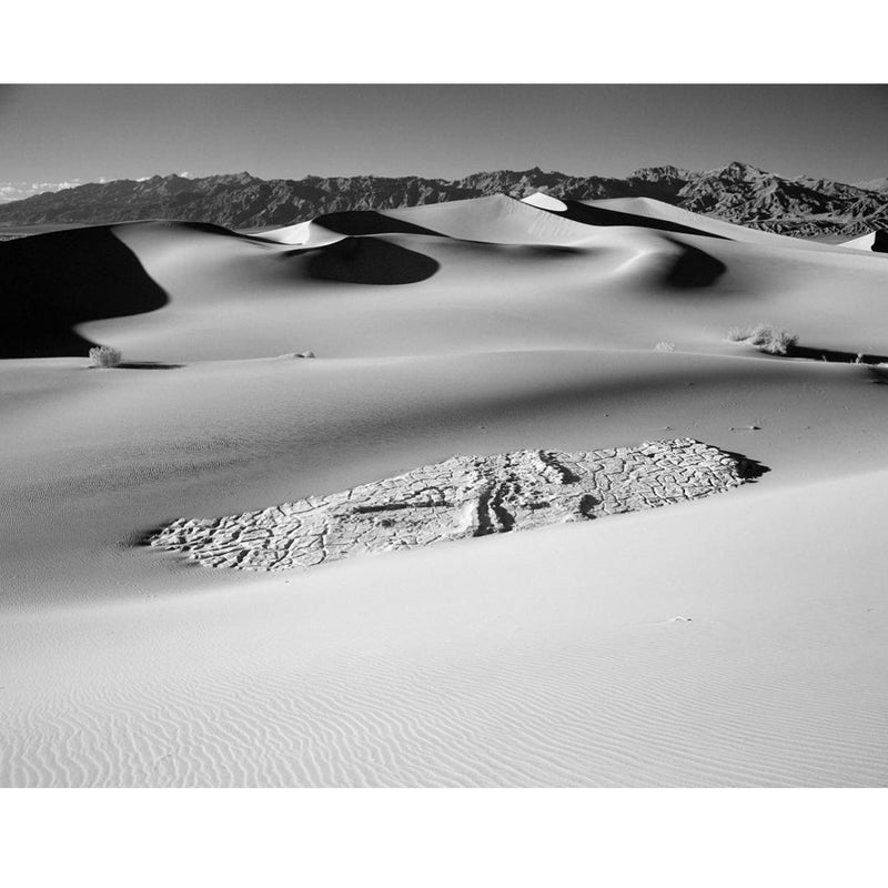 Rollei Infrared 400 Black & White 120 Roll Film