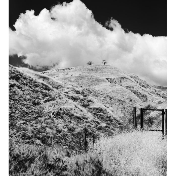 Rollei Infrared 400 Black & White 120 Roll Film