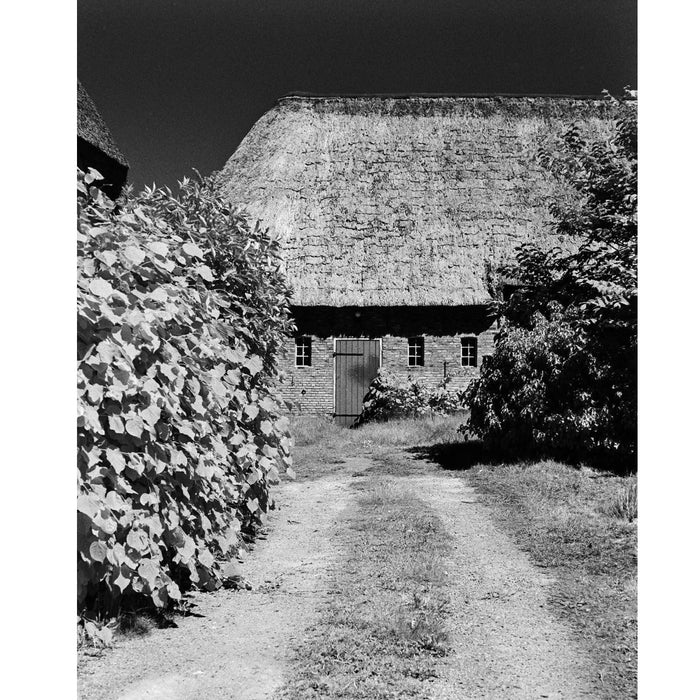 Rollei Infrared 400 36-Exposure 35mm Black & White 135 Film