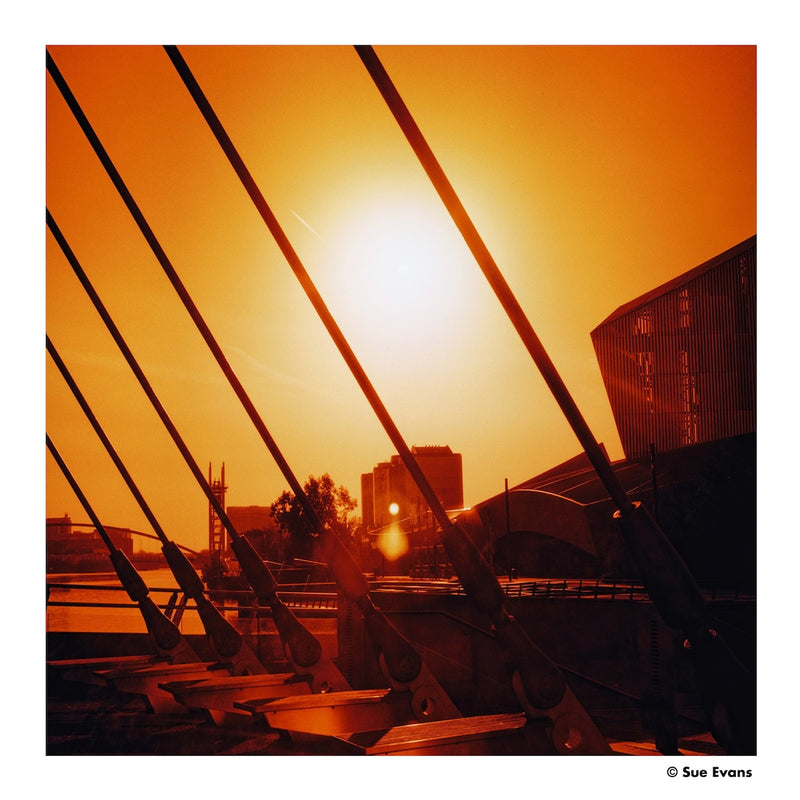 Harman Red 125 Redscale 120 Film
