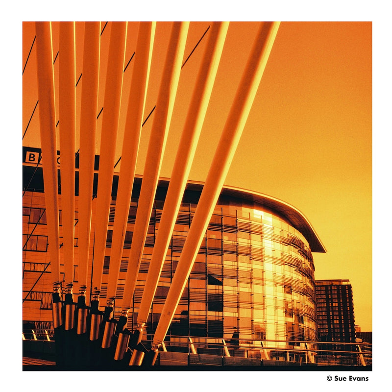Harman Red 125 Redscale 120 Film