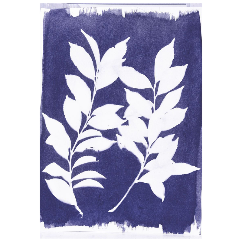 Jacquard Cyanotype Pretreated Fabric Sheets - Pack of 30