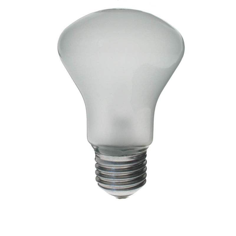 PHOTOLUXE 100w 196v E27 Modelling Bulb for Elinchrom