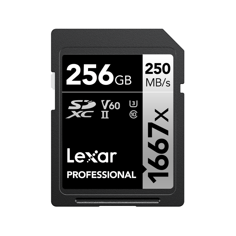 Lexar Professional Silver Series 256GB SDXC UHS-II V60 Memory Card
