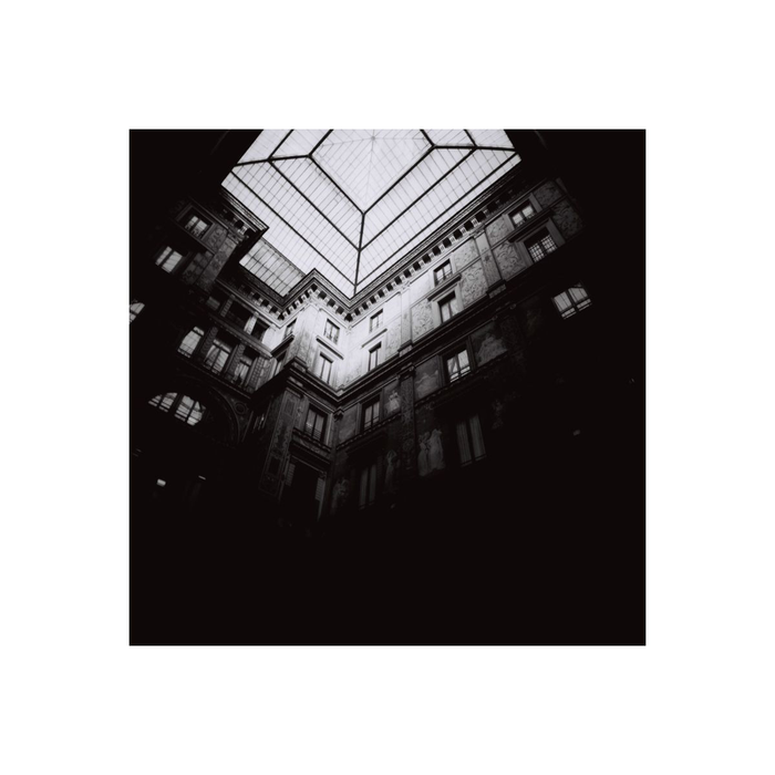 Lomography Earl Grey 100 36-Exposure 35mm Black & White 135 Film (3-Pack)