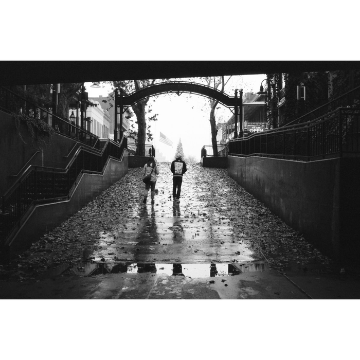 Lomography Lady Grey 400 36-Exposure 35mm Black & White 135 Film (3-Pack)