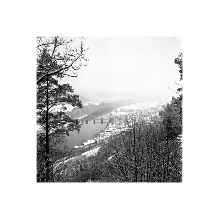 Lomography Lady Grey 400 Black & White 120 Roll Film (3-Pack)