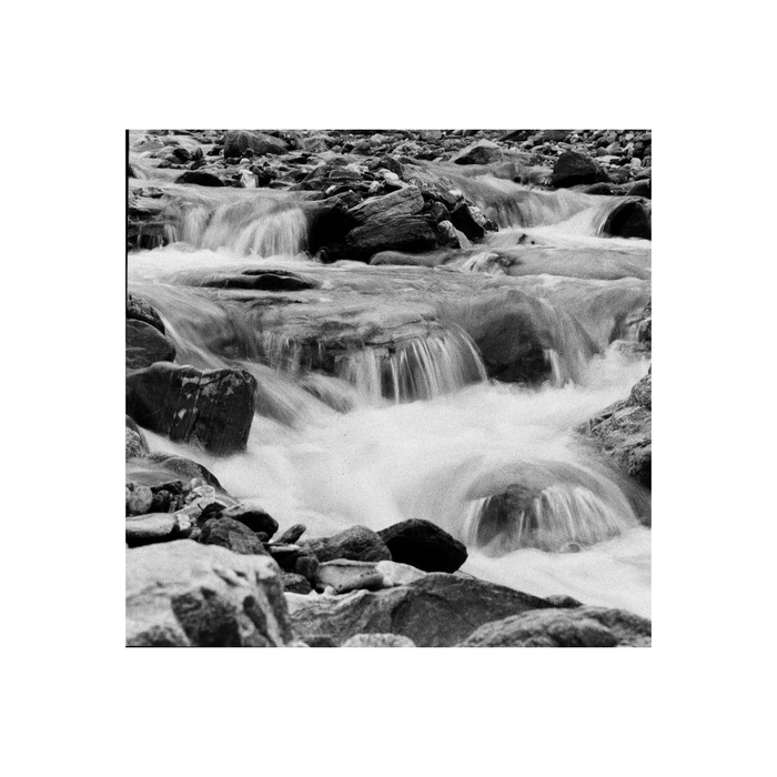 Lomography Lady Grey 400 Black & White 120 Roll Film (3-Pack)