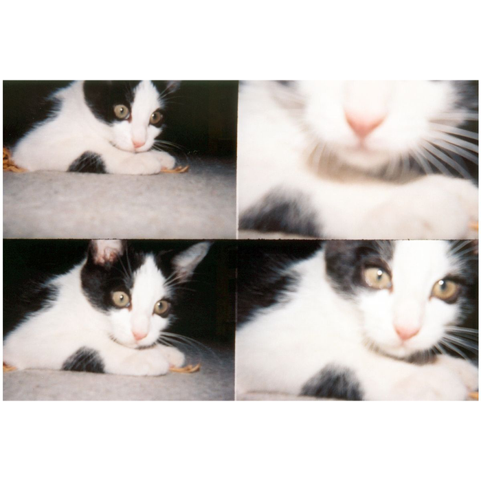 Lomography ActionSampler Clear Camera