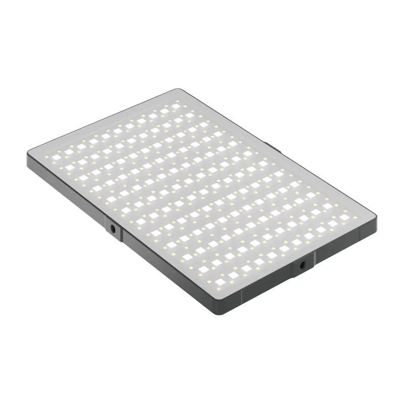 Newell Rangha Max XL RGB-W LED Light