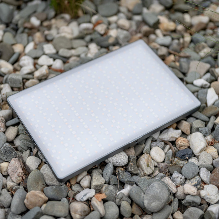 Newell Rangha Max XL RGB-W LED Light