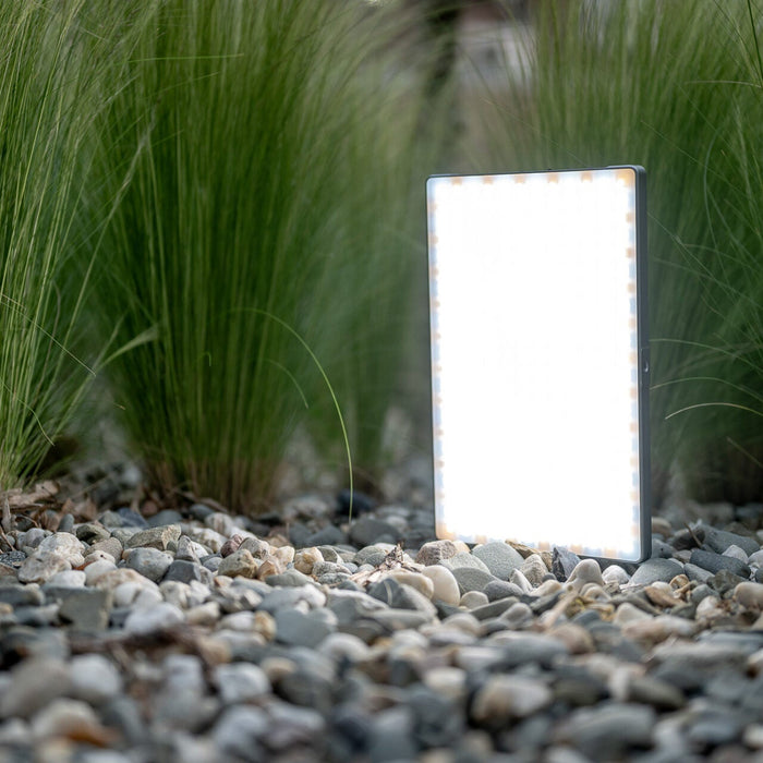 Newell Rangha Max XL RGB-W LED Light