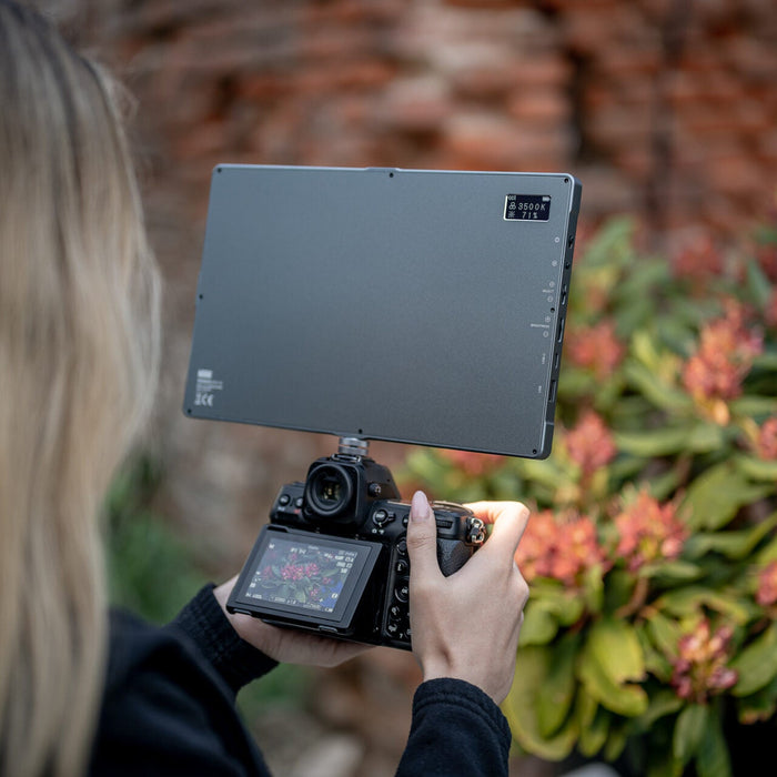 Newell Rangha Max XL RGB-W LED Light