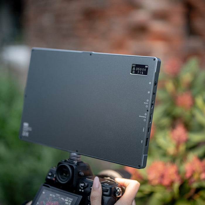 Newell Rangha Max XL RGB-W LED Light