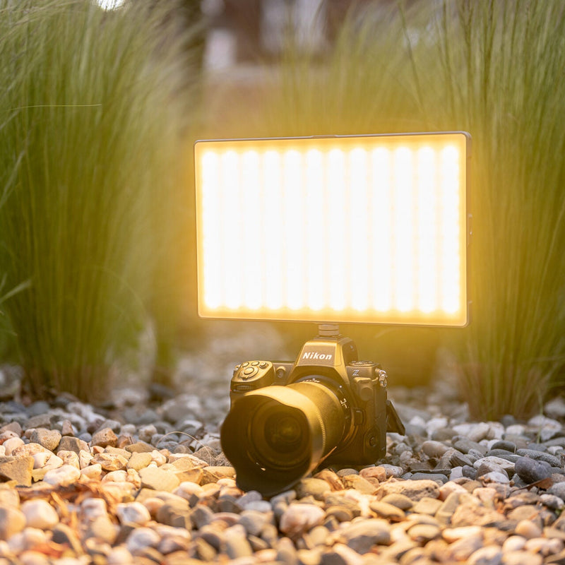 Newell Rangha Max XL RGB-W LED Light