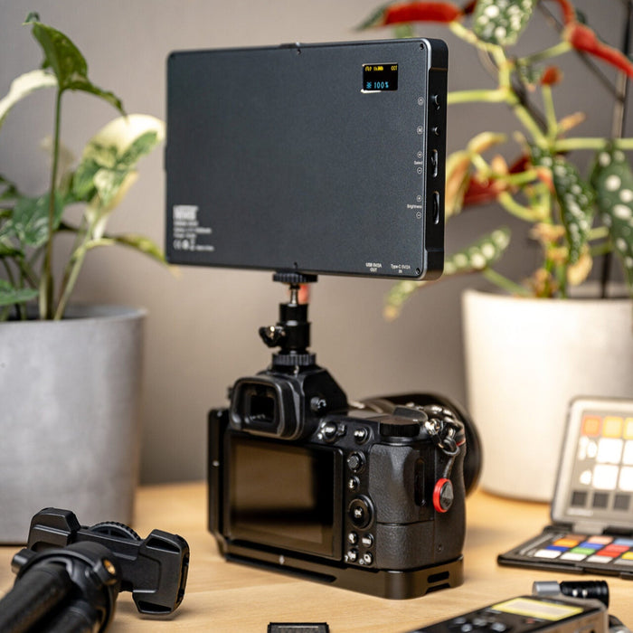 Newell Rangha Max RGB-W LED Light