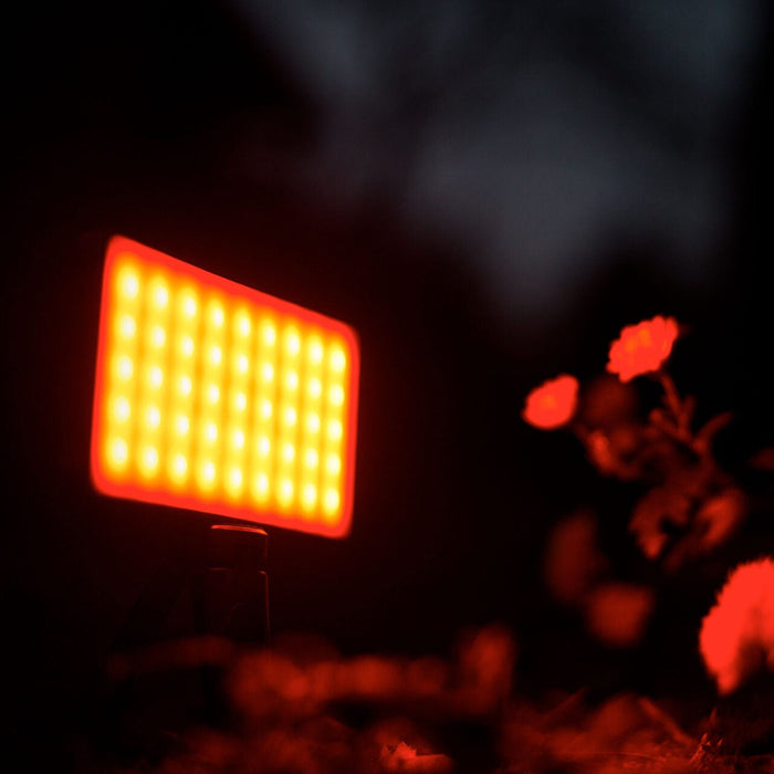 Newell Rangha RGB-W LED Light