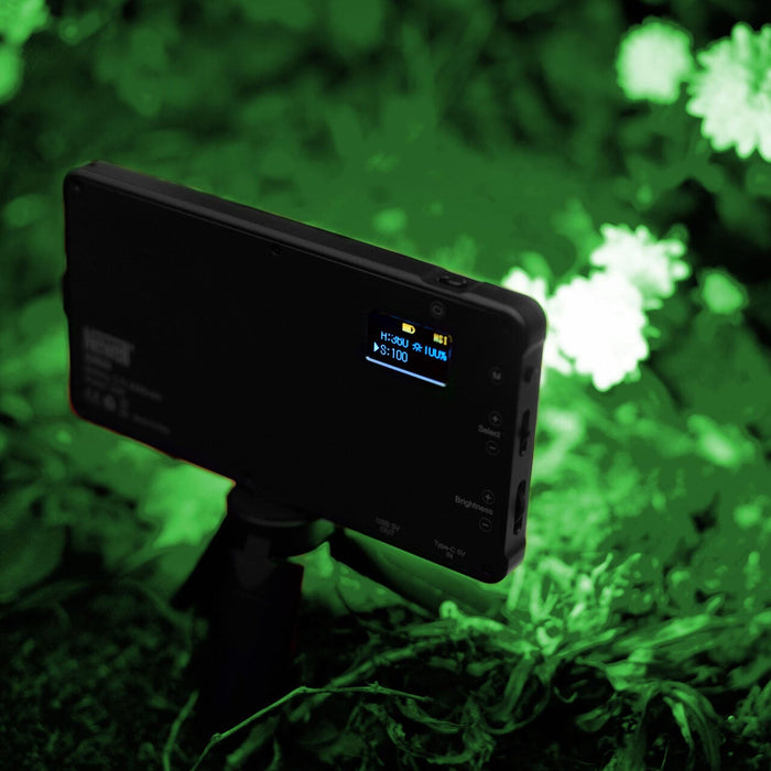 Newell Rangha RGB-W LED Light