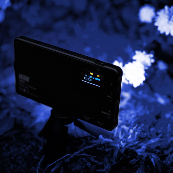 Newell Rangha RGB-W LED Light