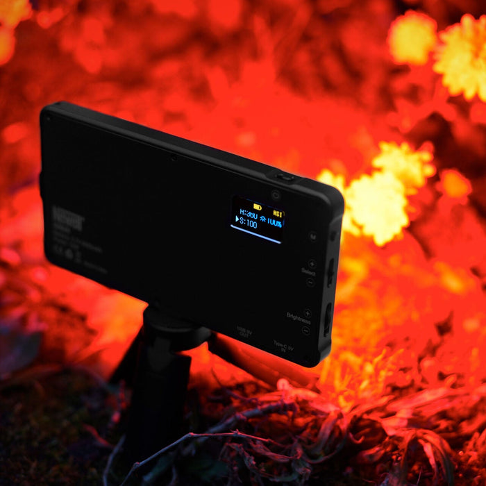 Newell Rangha RGB-W LED Light