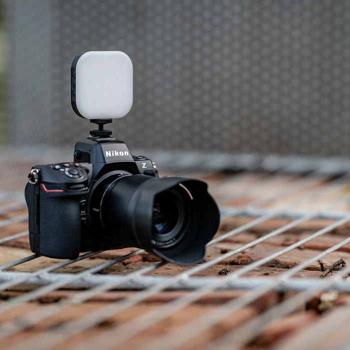 Newell Sunny LED Light for Smartphone