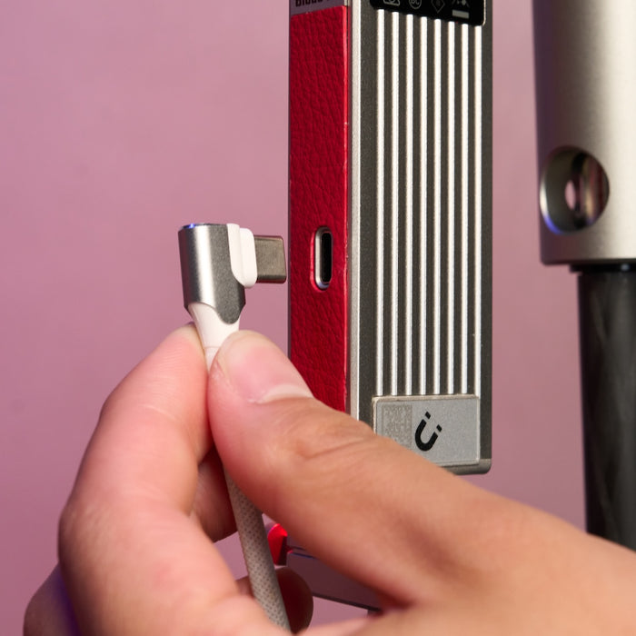 Harlowe Mark Mann Signature Portrait & Livestream Lighting Kit