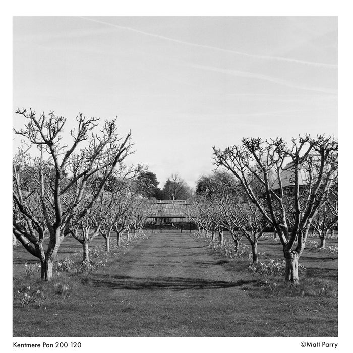 Kentmere Pan 200 Black & White 120 Roll Film